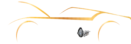 precisiontransrepairs.com Logo